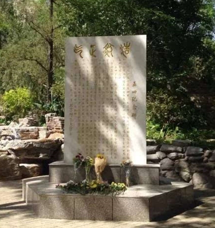 亚美AM8AG·(中国区)官方网站