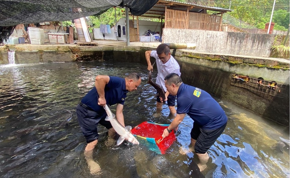 2121非凡国际·(中国)体育官方网站